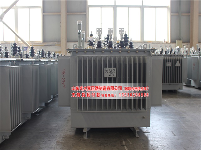 四川S22-4000KVA油浸式变压器